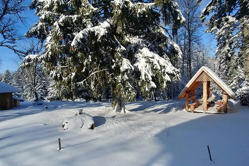 Le Petit Loup, Appartement Neuf Avec Jardin Gerbepal Экстерьер фото